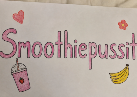 Smoothiepussit