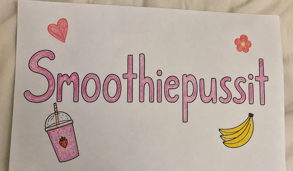 Smoothiepussit